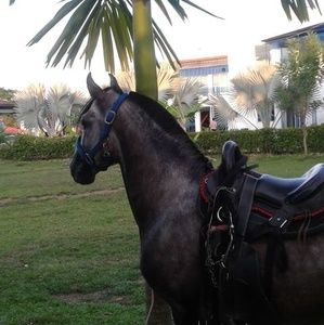 Meet your Posher, Fernando